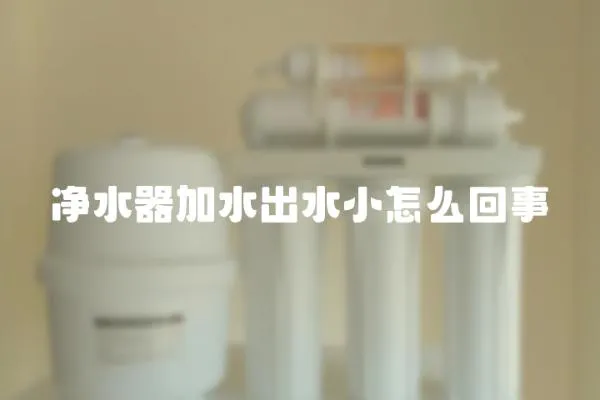 凈水器加水出水小怎么回事