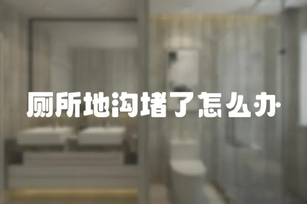 廁所地溝堵了怎么辦