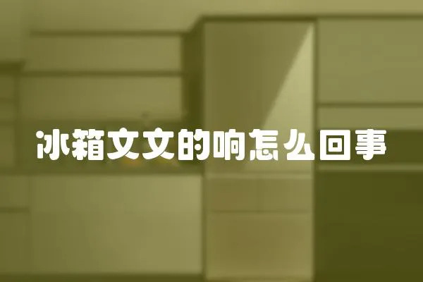 冰箱文文的響怎么回事