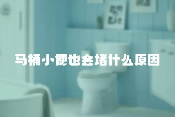 馬桶小便也會堵什么原因