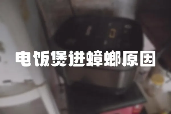 電飯煲進蟑螂原因