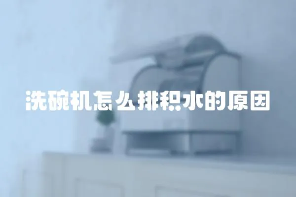 洗碗機怎么排積水的原因