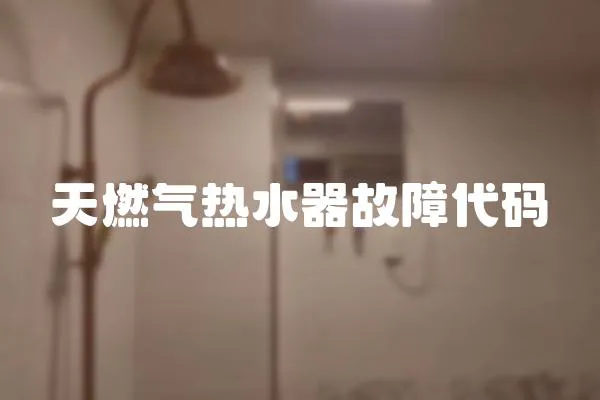 天燃氣熱水器故障代碼
