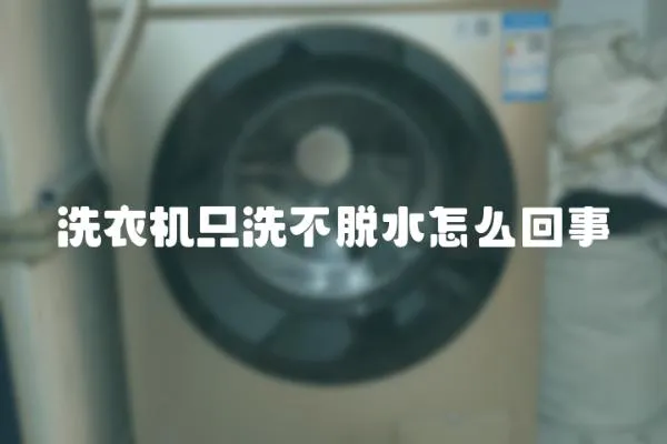 洗衣機(jī)只洗不脫水怎么回事