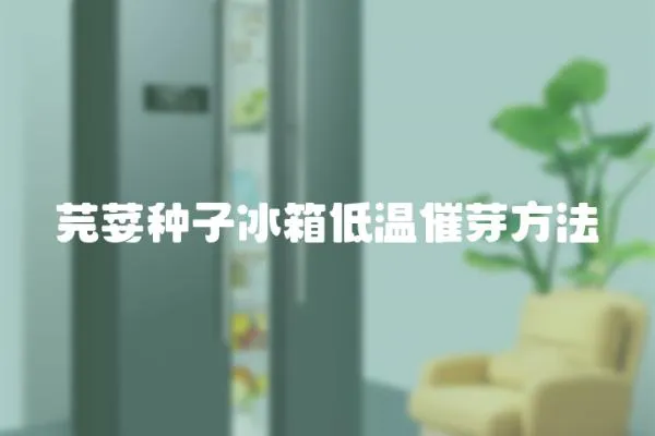 芫荽種子冰箱低溫催芽方法