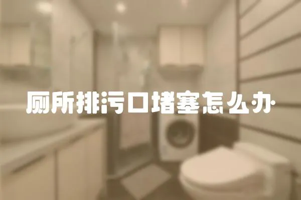 廁所排污口堵塞怎么辦