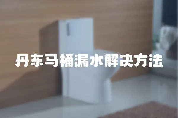 丹東馬桶漏水解決方法