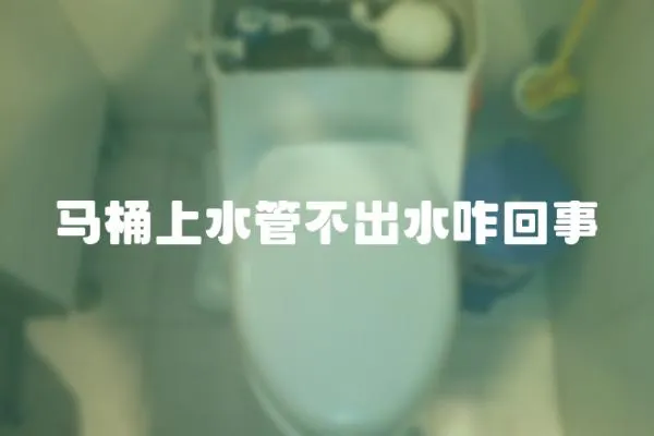 馬桶上水管不出水咋回事