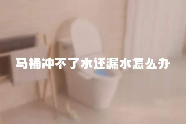 馬桶沖不了水還漏水怎么辦