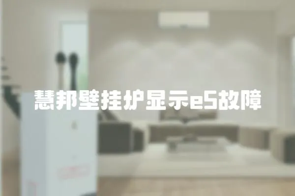 慧邦壁掛爐顯示e5故障