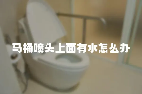 馬桶噴頭上面有水怎么辦