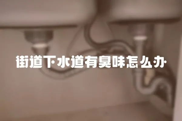 街道下水道有臭味怎么辦