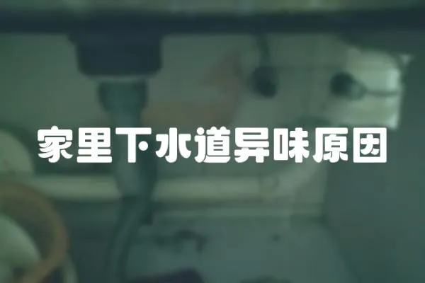 家里下水道異味原因