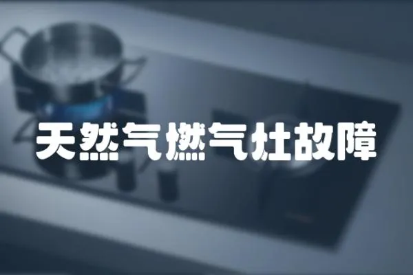 天然氣燃氣灶故障