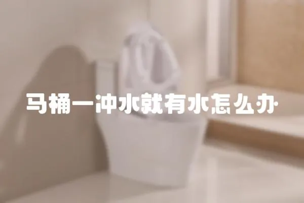 馬桶一沖水就有水怎么辦