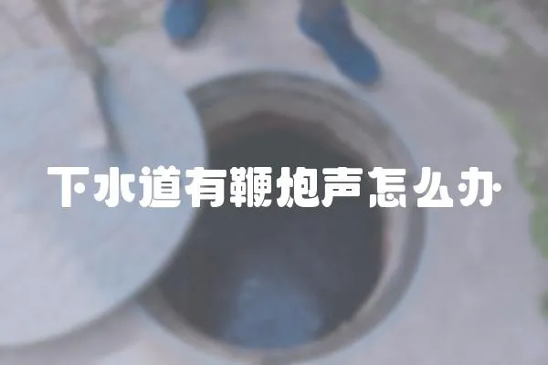 下水道有鞭炮声怎么办