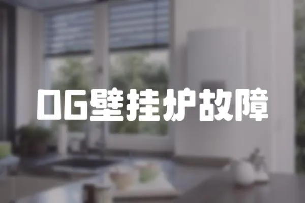 DG壁掛爐故障