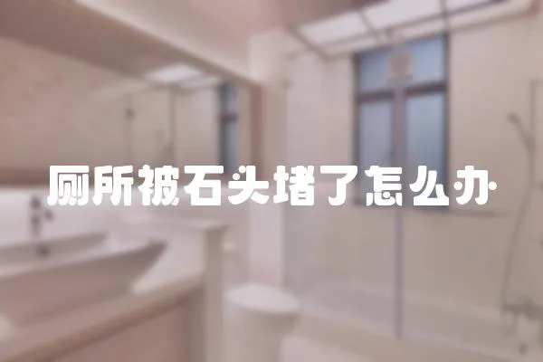 廁所被石頭堵了怎么辦