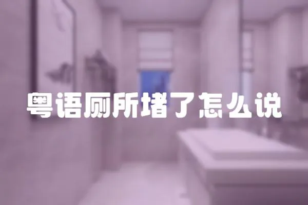 粵語廁所堵了怎么說