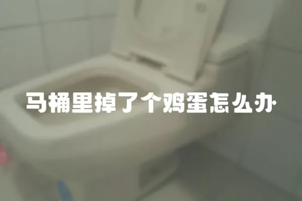 馬桶里掉了個雞蛋怎么辦