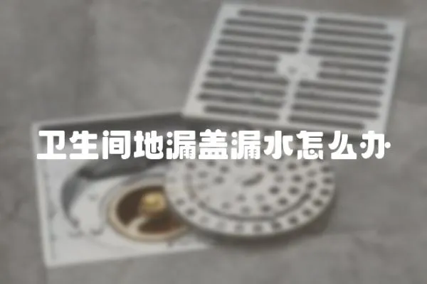 衛生間地漏蓋漏水怎么辦