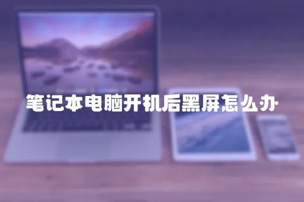 筆記本電腦開機后黑屏怎么辦