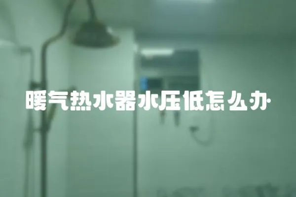 暖氣熱水器水壓低怎么辦