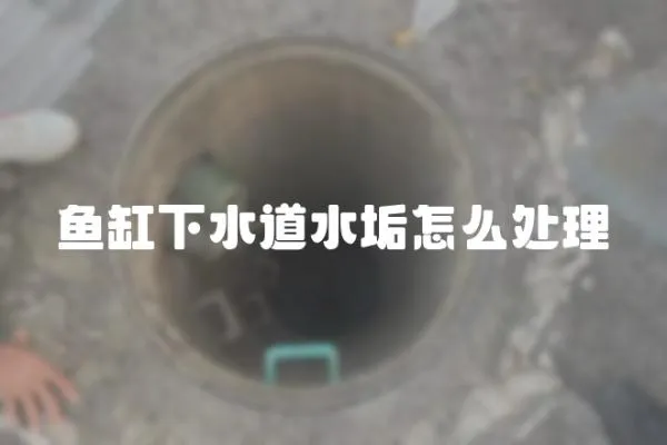魚缸下水道水垢怎么處理