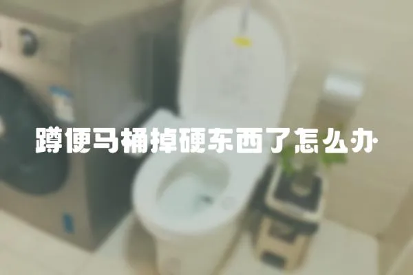 蹲便馬桶掉硬東西了怎么辦