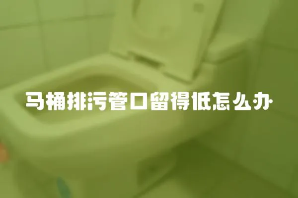 馬桶排污管口留得低怎么辦