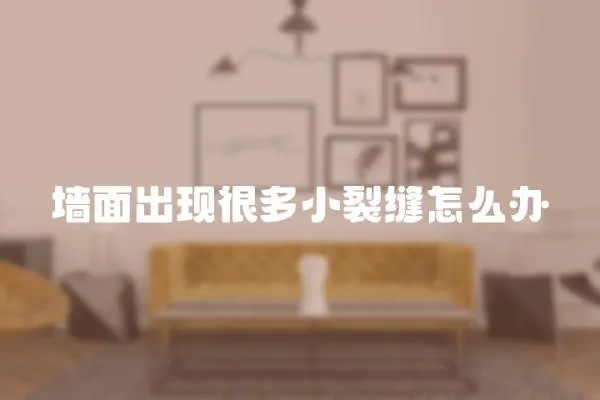 墻面出現很多小裂縫怎么辦