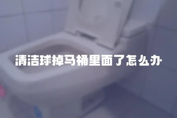 清潔球掉馬桶里面了怎么辦