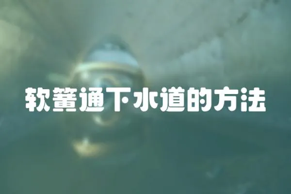 軟簧通下水道的方法