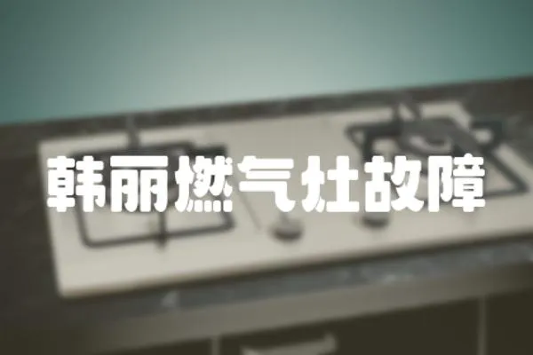 韓麗燃?xì)庠罟收?></a></div>
                    <div   id=