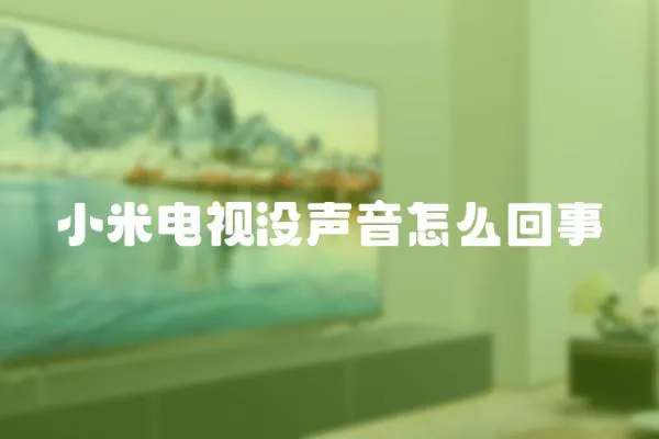 小米電視沒聲音怎么回事