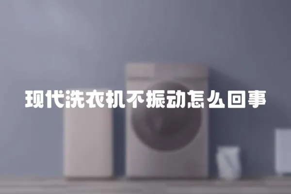 現代洗衣機不振動怎么回事