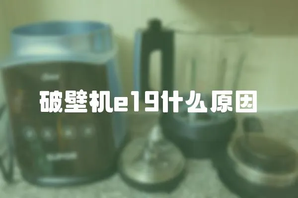 破壁機e19什么原因