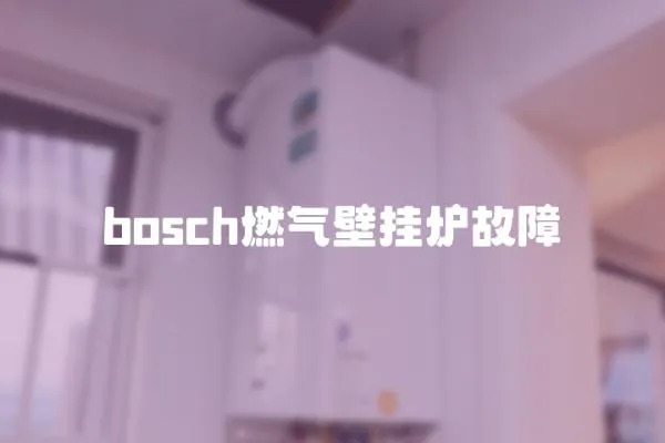 bosch燃?xì)獗趻鞝t故障