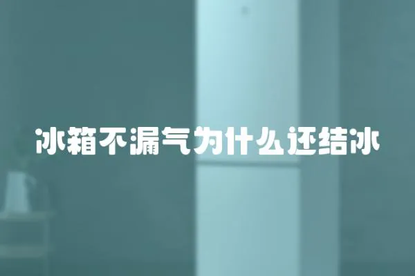冰箱不漏氣為什么還結(jié)冰