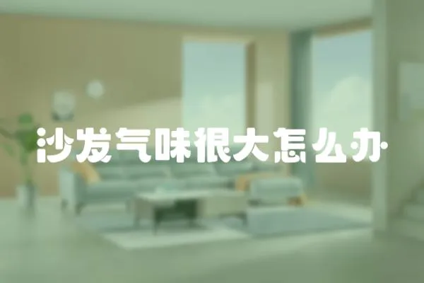 沙發氣味很大怎么辦