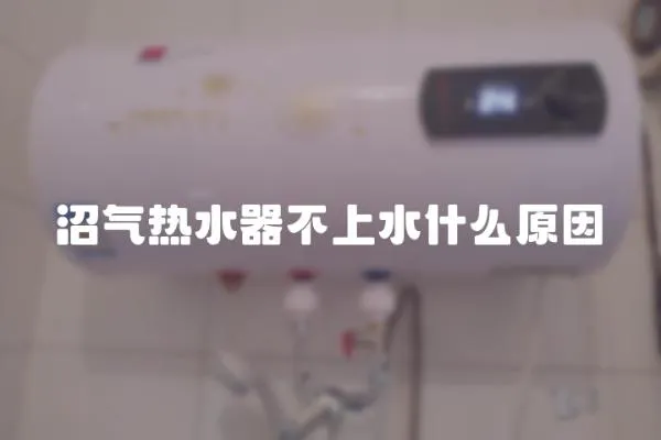 沼氣熱水器不上水什么原因