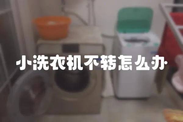 小洗衣機(jī)不轉(zhuǎn)怎么辦
