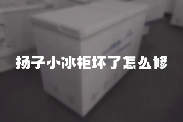 揚(yáng)子小冰柜壞了怎么修