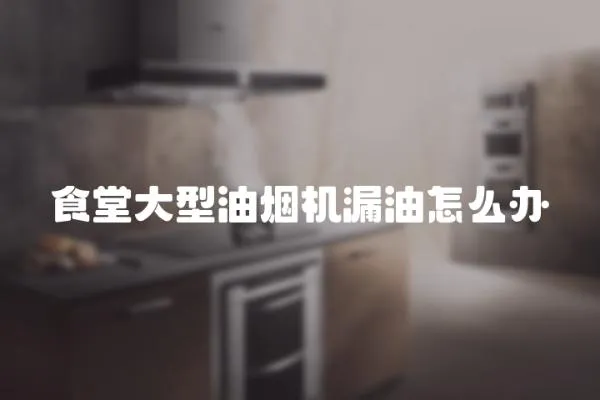 食堂大型油煙機漏油怎么辦