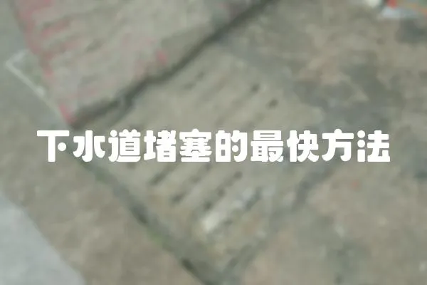 下水道堵塞的最快方法