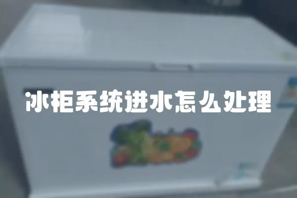 冰柜系統進水怎么處理