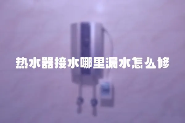 熱水器接水哪里漏水怎么修