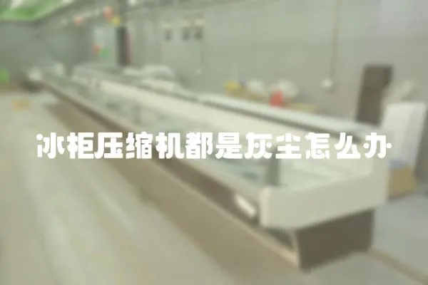 冰柜壓縮機都是灰塵怎么辦