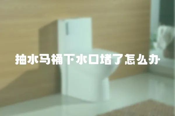 抽水馬桶下水口堵了怎么辦