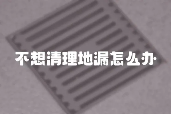 不想清理地漏怎么辦